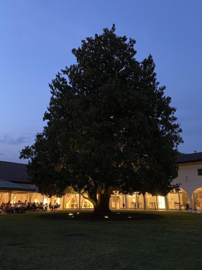 Hotel I Pini